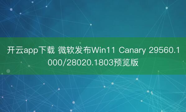 开云app下载 微软发布Win11 Canary 29560.1000/28020.1803预览版