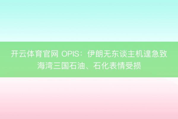 开云体育官网 OPIS：伊朗无东谈主机遑急致海湾三国石油、石化表情受损