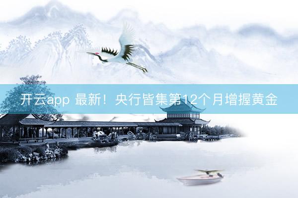 开云app 最新！央行皆集第12个月增握黄金