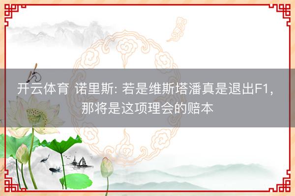 开云体育 诺里斯: 若是维斯塔潘真是退出F1， 那将是这项理会的赔本