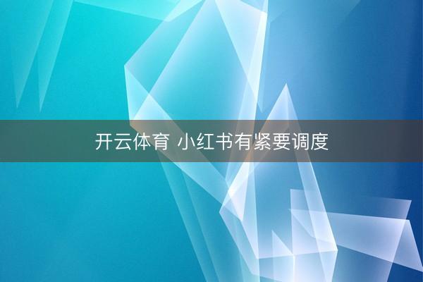 开云体育 小红书有紧要调度