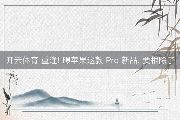 开云体育 重逢! 曝苹果这款 Pro 新品， 要根除了