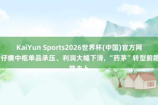 KaiYun Sports2026世界杯(中国)官方网站 片仔癀中枢单品承压、利润大幅下滑， “药茅”转型前路未卜
