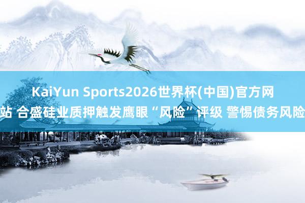 KaiYun Sports2026世界杯(中国)官方网站 合盛硅业质押触发鹰眼“风险”评级 警惕债务风险