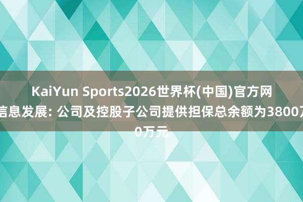 KaiYun Sports2026世界杯(中国)官方网站 信息发展: 公司及控股子公司提供担保总余额为3800万元
