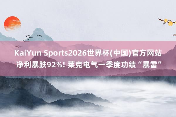 KaiYun Sports2026世界杯(中国)官方网站 净利暴跌92%! 莱克电气一季度功绩“暴雷”