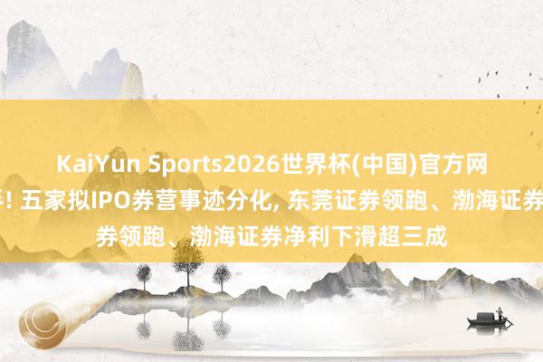 KaiYun Sports2026世界杯(中国)官方网站 自营成输赢手! 五家拟IPO券营事迹分化， 东莞证券领跑、渤海证券净利下滑超三成