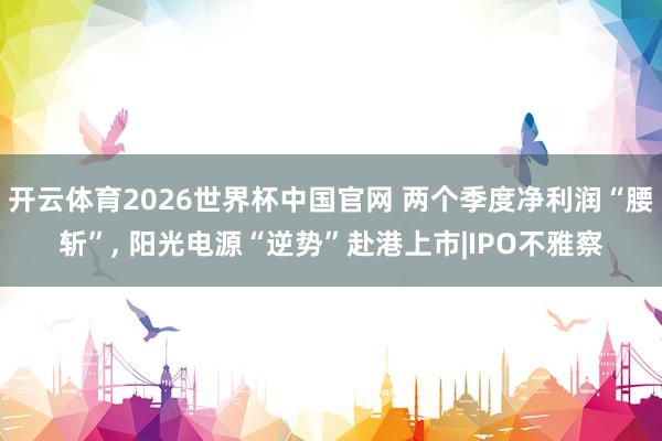开云体育2026世界杯中国官网 两个季度净利润“腰斩”， 阳光电源“逆势”赴港上市|IPO不雅察