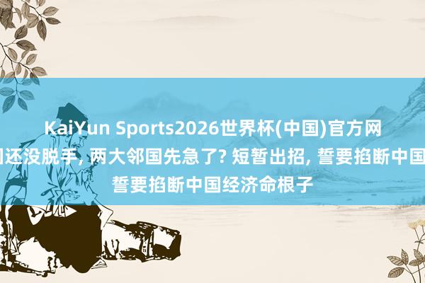 KaiYun Sports2026世界杯(中国)官方网站 好意思国还没脱手， 两大邻国先急了? 短暂出招， 誓要掐断中国经济命根子