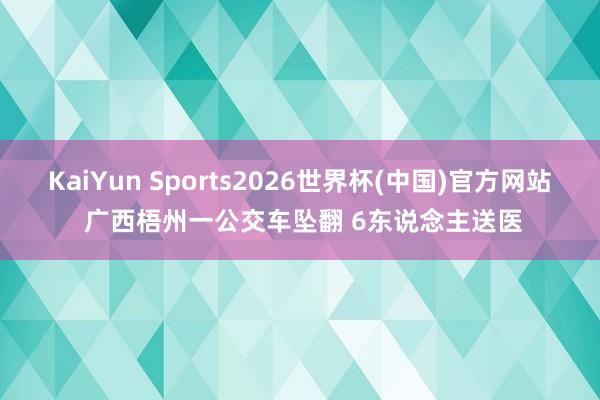 KaiYun Sports2026世界杯(中国)官方网站 广西梧州一公交车坠翻 6东说念主送医