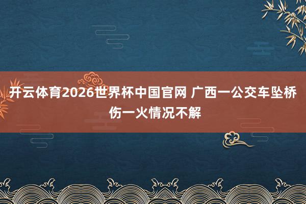 开云体育2026世界杯中国官网 广西一公交车坠桥 伤一火情况不解