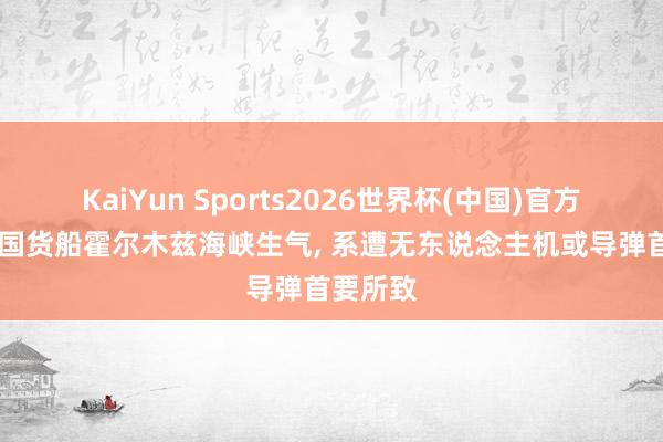 KaiYun Sports2026世界杯(中国)官方网站 韩国货船霍尔木兹海峡生气， 系遭无东说念主机或导弹首要所致