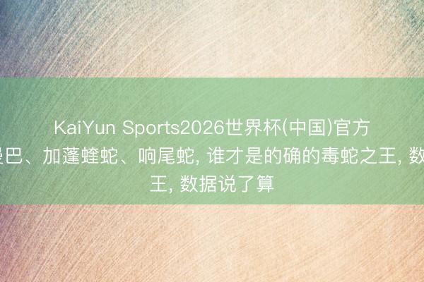 KaiYun Sports2026世界杯(中国)官方网站 黑曼巴、加蓬蝰蛇、响尾蛇， 谁才是的确的毒蛇之王， 数据说了算
