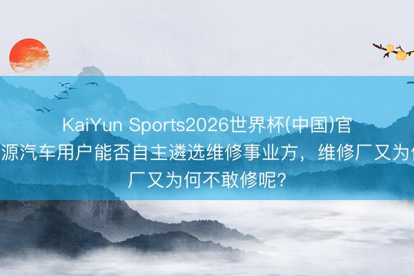 KaiYun Sports2026世界杯(中国)官方网站 新能源汽车用户能否自主遴选维修事业方，维修厂又为何不敢修呢?
