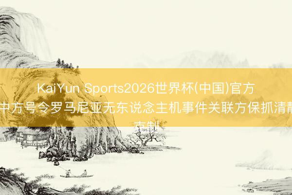KaiYun Sports2026世界杯(中国)官方网站 中方号令罗马尼亚无东说念主机事件关联方保抓清静克制