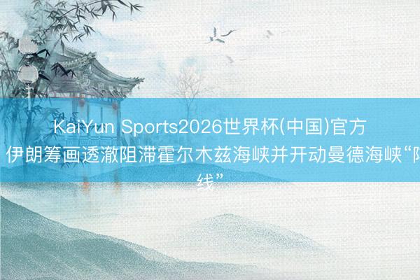 KaiYun Sports2026世界杯(中国)官方网站 伊朗筹画透澈阻滞霍尔木兹海峡并开动曼德海峡“阵线”