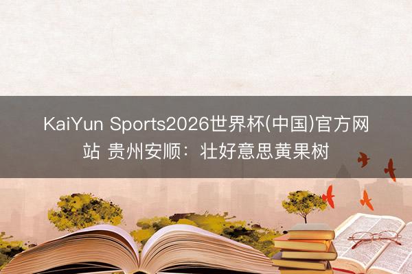 KaiYun Sports2026世界杯(中国)官方网站 贵州安顺：壮好意思黄果树
